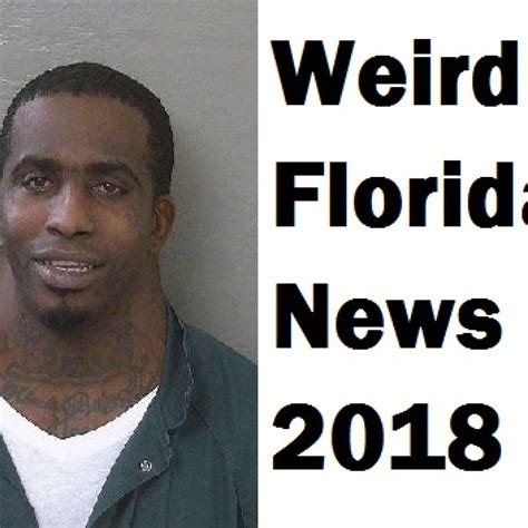 Florida news: Top weird news stories from the Sunshine State in 2018