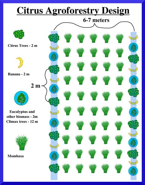 Citrus Greening Disease - Global Freedom Project