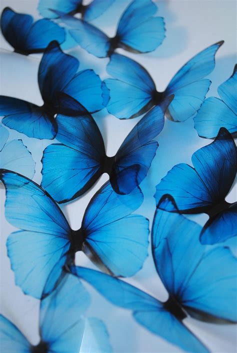 Blue Rainbow Decorative Butterflies . 3D Plastic Butterflies . Ombre ...