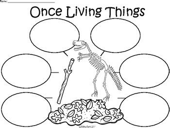A+ Once Living Things...Three Graphic Organizers by Regina Davis