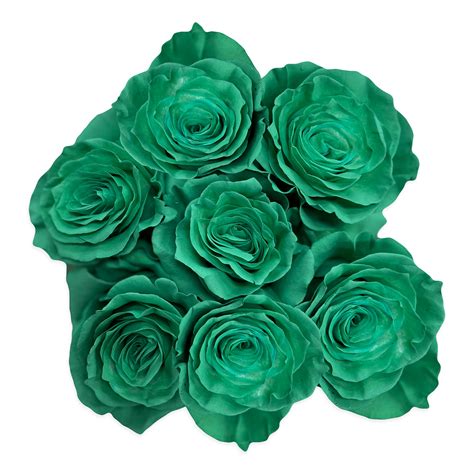 Fresh Teal Green Roses - Farm Direct Delivery - Flower Explosion