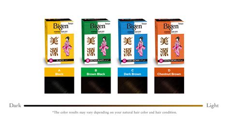 Bigen Powder Hair Dye | Hoyu – A PREMIER HAIR COLORING COMPANY