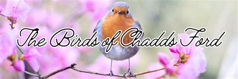 The Birds of Chadds Ford – Chadds Ford Jewelry