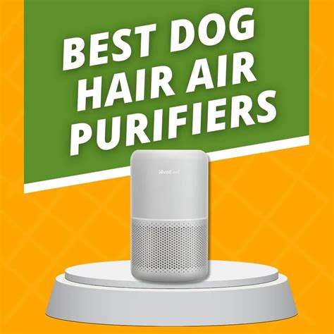 10 BEST AIR PURIFIER FOR DOG HAIR in 2024 Tested & Reviewed