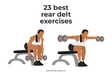 23 Best Rear Delt Exercises For 3D Shoulders