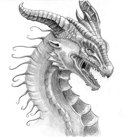 FREE 21+ Realistic Dragon Drawings in AI