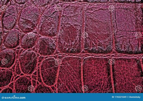 Abstract Red Crocodile Skin Texture, As Background Stock Image - Image of alligator, macro ...