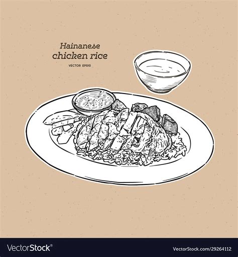 Hainan chicken rice with sauce and soup hand draw Vector Image