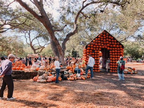 12 Pumpkin Patches & Corn Mazes in Dallas Fort Worth || Fall 2021