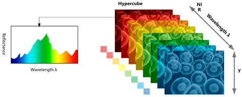 Sensors | Free Full-Text | Deep Learning in Medical Hyperspectral ...