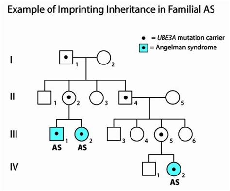 Angelman syndrome: MedlinePlus Genetics