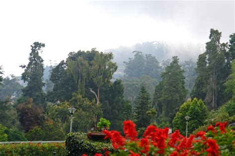 Botanical Garden Ooty Images | Fasci Garden