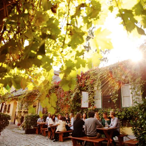 Austrian Wine Regions to Visit, Wines to Sample