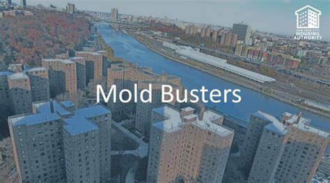 NYCHA Launches Mold Busters - NYCHA Now