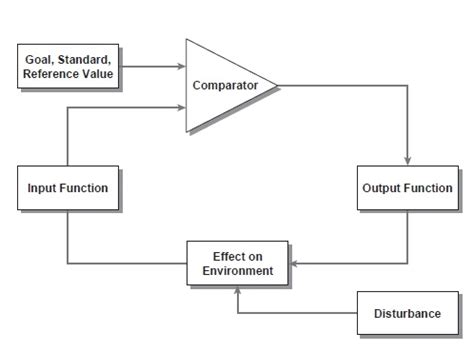 Feedback Loop (SOCIAL PSYCHOLOGY) - iResearchNet