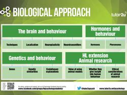 IB Diploma Psychology: Topic Posters | Psychology | tutor2u