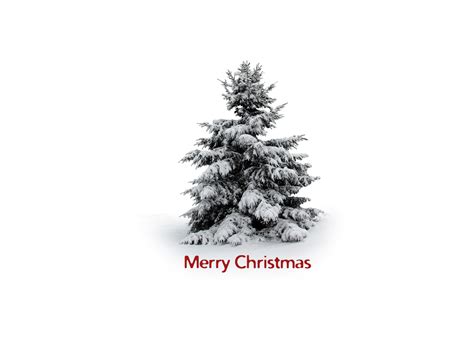 Merry christmas tree « MyConfinedSpace