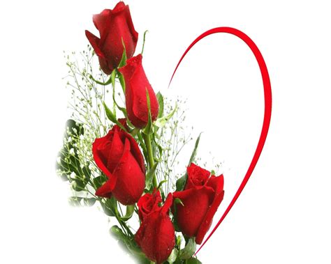 Hd Romantic Flower Wallpapers