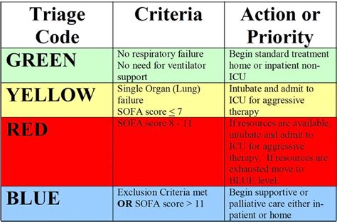 Triage Color Code System