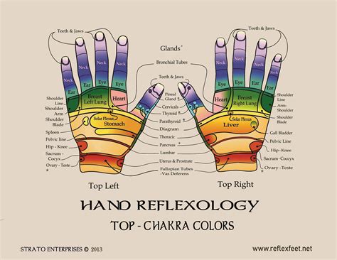 Hand Reflexology Chart Printable