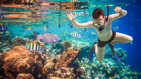 Los Cabos Snorkeling | Snorkeling in Cabo - Los Cabos Passport