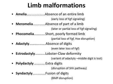 Limb Malformations ... #phocomelia #adactyly | Limb, Genetics, Medicine