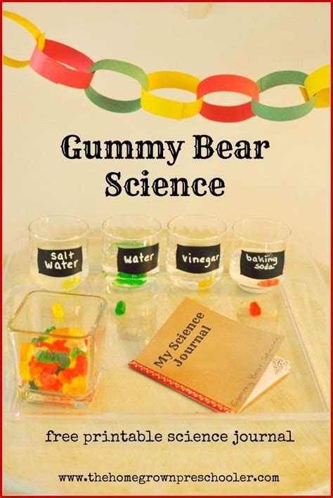 Great science experiment for preschoolers with a free printable science ...