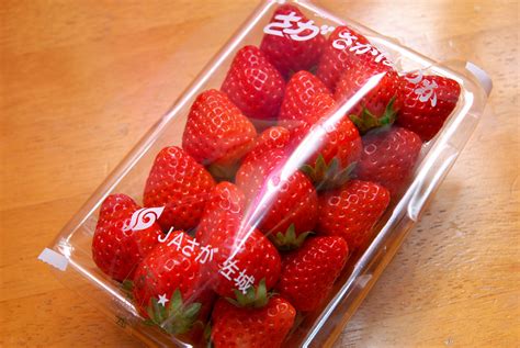 Japan Strawberries | DR KOH