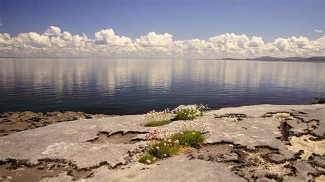 Fiddle & Bow Collection Hotel in Doolin, Co. Clare