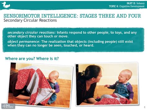 3. Sensorimotor Intelligence - ppt download