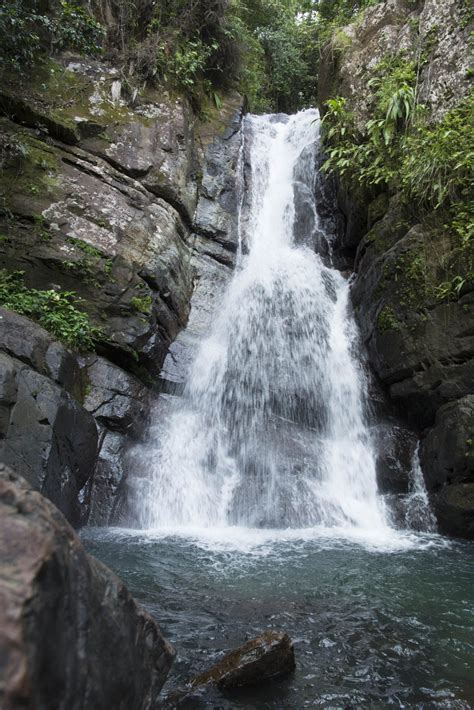 Waterfall at "El Yunque" Puerto Rico. | El yunque national forest ...