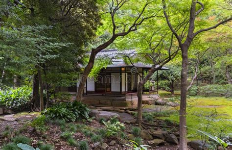 Japanese Chashitsu Teahouse in the Tokyo Metropolitan Park of KyÅ«-Furukawa Gardens. Editorial ...