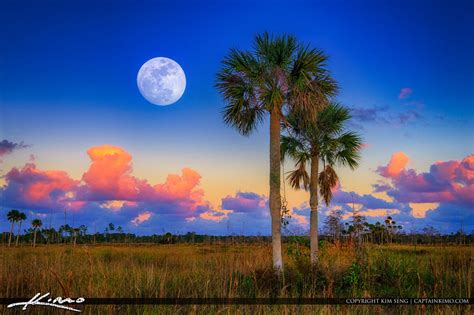 Moon-Rise-Pine-Glades-Natural-Area-Jupiter-Florida by CaptainKimo on DeviantArt