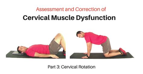 Cervical Rotation Exercise Progressions - My Rehab Connection