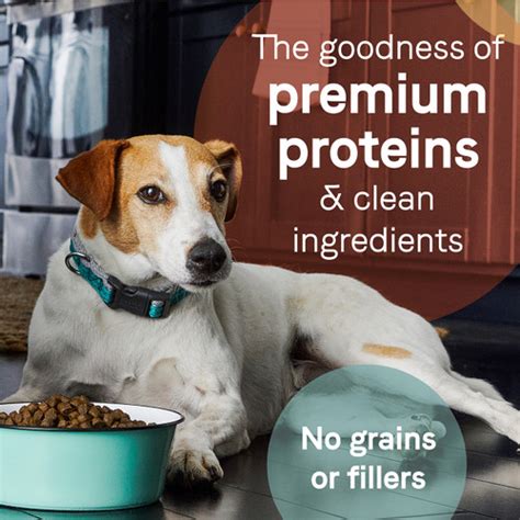 PURE Dry Senior Dog Food: Grain Free Chicken, Sweet Potato and Garbanzo ...