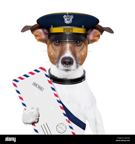 Mailman dog hi-res stock photography and images - Alamy