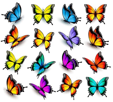 Butterfly Color Images - Free Download on Freepik