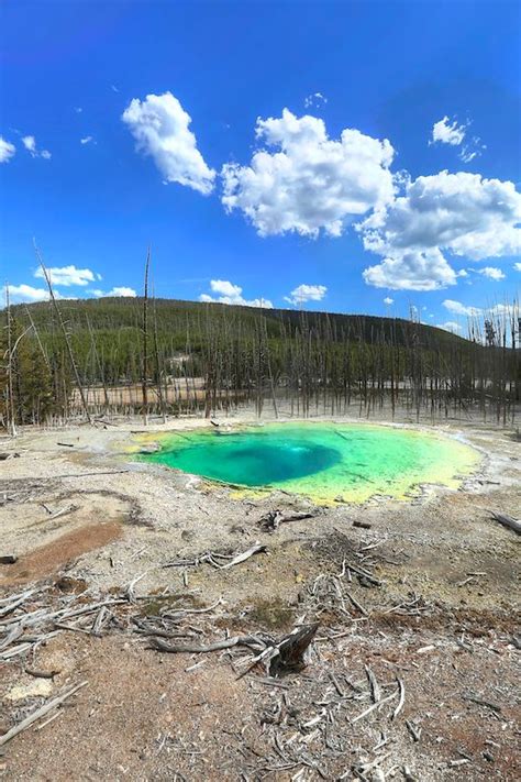 Norris Geyser Basin | GI 365 | Adventure photos, What a beautiful world, Geyser