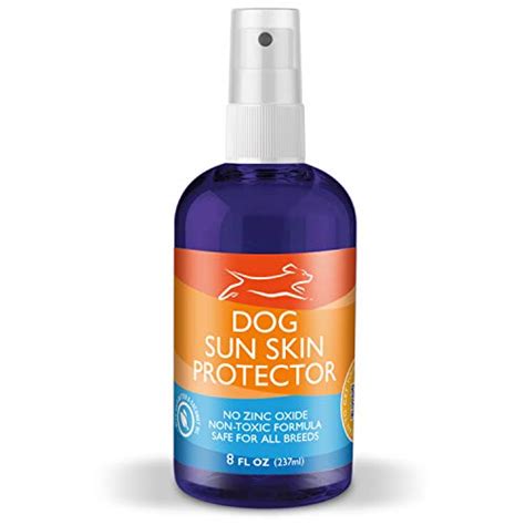 Can You Put Sunscreen on a Dog? Your Ultimate Guide to Dog Sunscreen