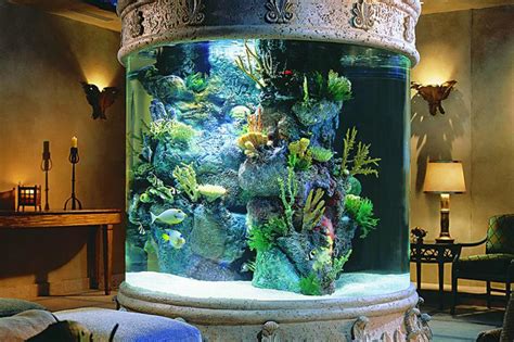 Amazing aquariums only millionaires can afford | loveproperty.com