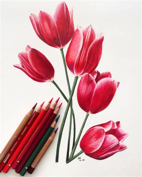 You need these beginner tips for colored pencil drawing | Pencil drawings of flowers, Flower art ...