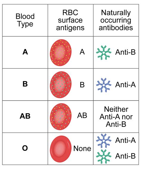 Blood Antigen Chart