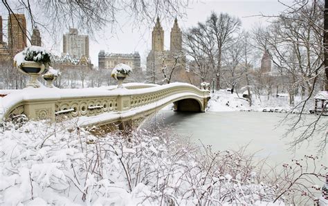 How to Explore Central Park in Winter | Travel Insider