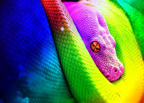 Random Art: Rainbow Snake 2.0 by LightningWing01 on DeviantArt