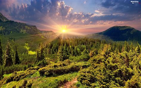 Mountains, Path, Sunrise, woods - Beautiful views wallpapers: 1920x1200