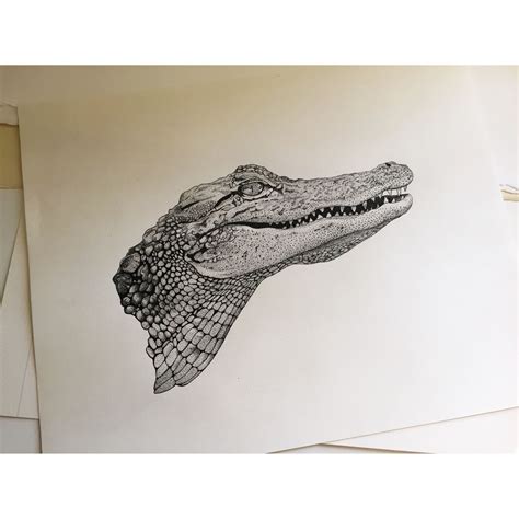 Alligator drawing 2014 | Crocodile tattoo, Old school tattoo designs, Alligator tattoo