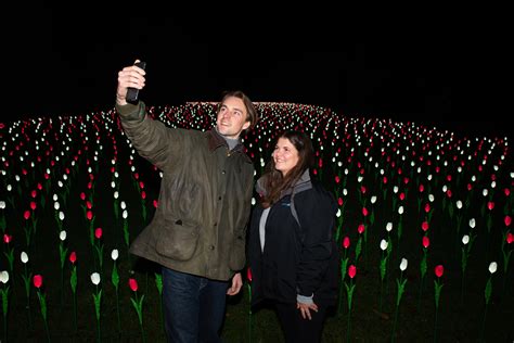 Sir Harold Hillier Gardens to host second stunning light art trail ...