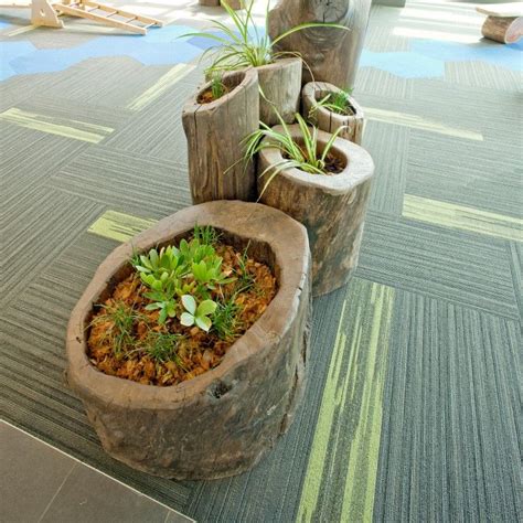 Hollow Log Planters | Elevated gardening, Garden makeover, Garden design