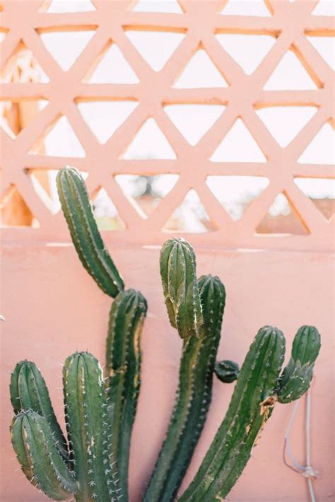 This wedding shoot is why you should elope in stylish Morocco