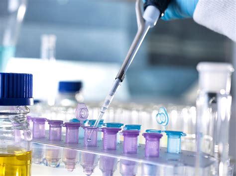 Glycans | PAIA Biotech | titer and glycan screening assays | Köln